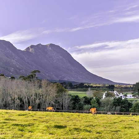 Hemel 'N Aarde Stud Hotel Hermanus Exterior foto