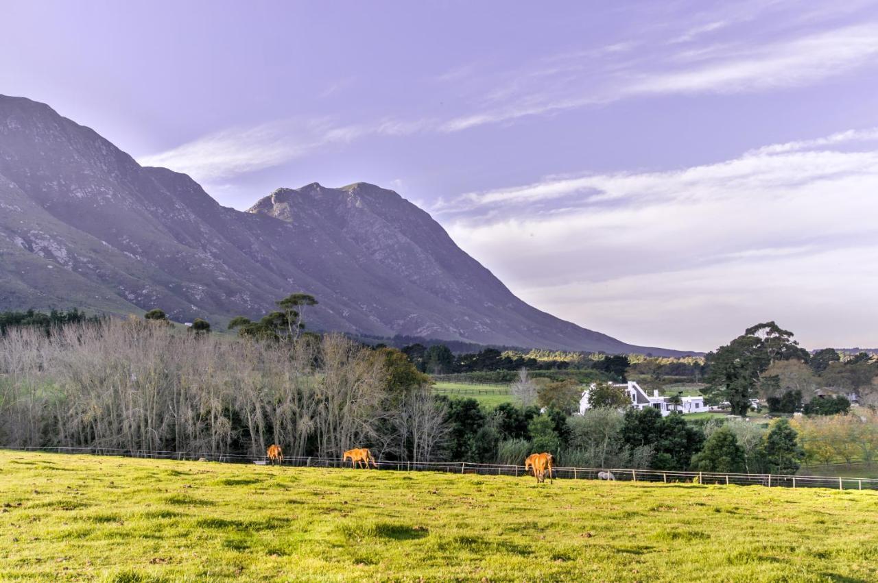Hemel 'N Aarde Stud Hotel Hermanus Exterior foto