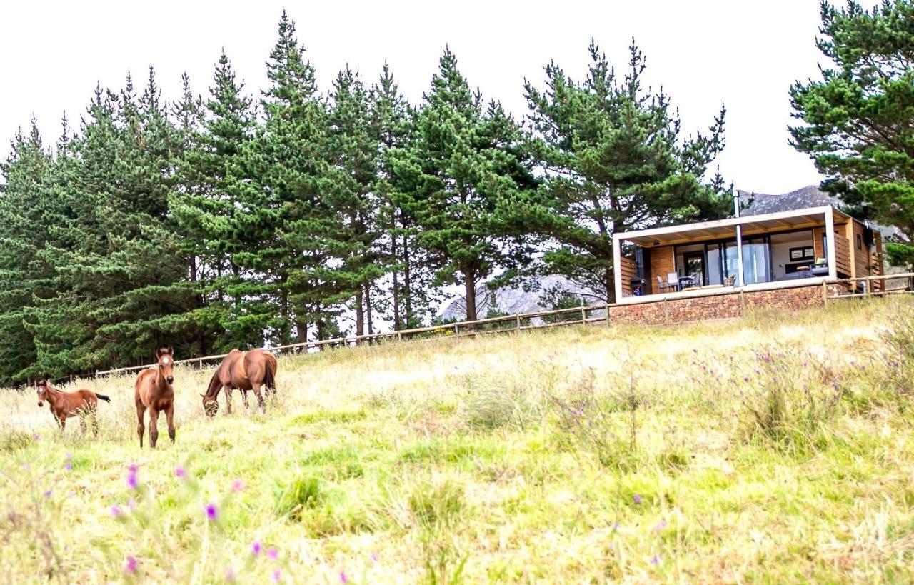 Hemel 'N Aarde Stud Hotel Hermanus Exterior foto