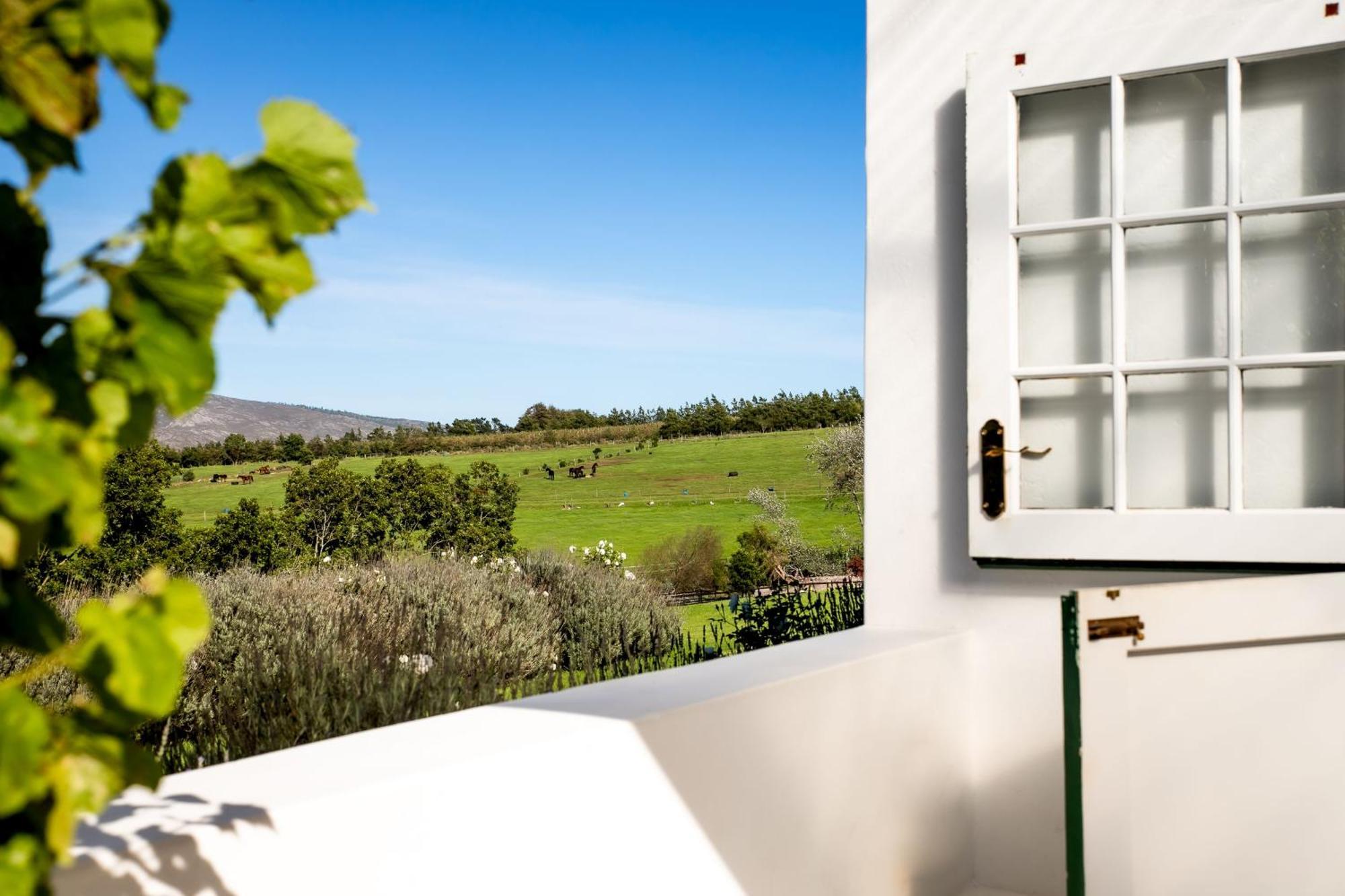 Hemel 'N Aarde Stud Hotel Hermanus Exterior foto